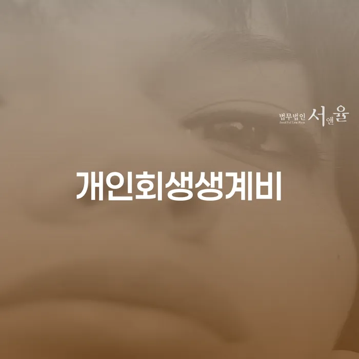 카드값 석달 연체 개인회생으로 해결 빨리신청해야하는