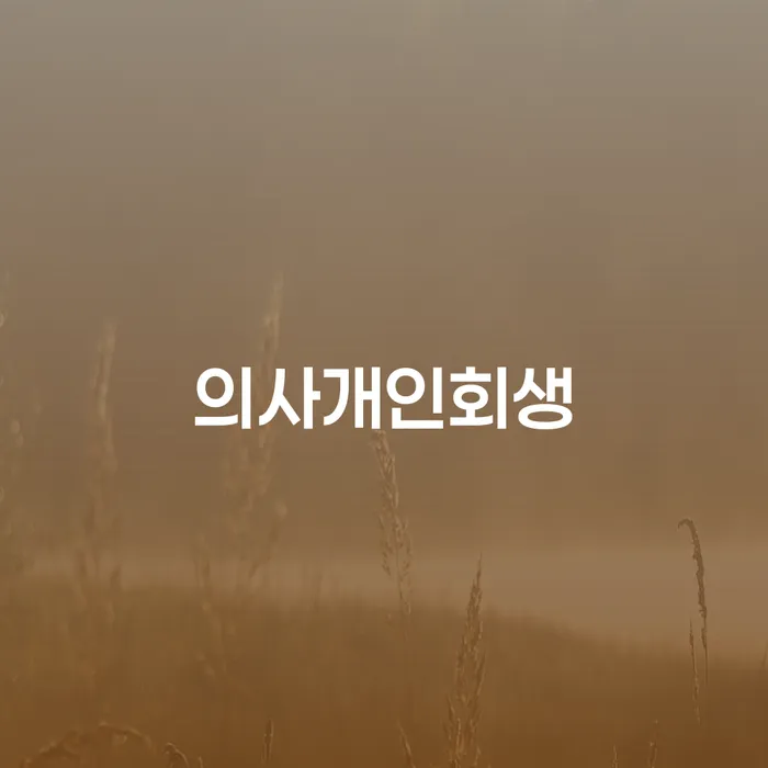개인파산회생 추심 대응법 해결 가능합니다.