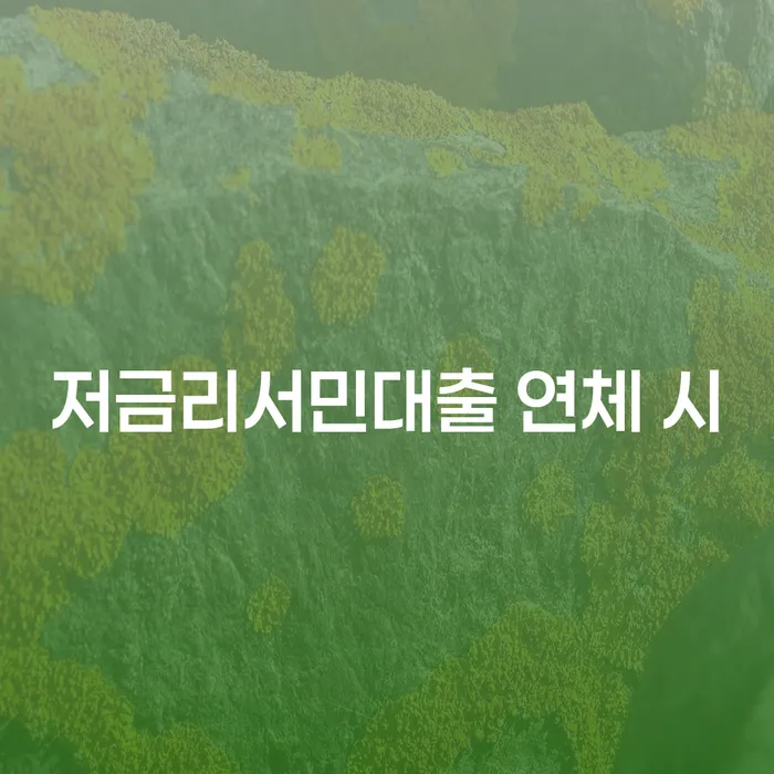 채무통합론 연체 시 개인회생으로 해결 관련정보