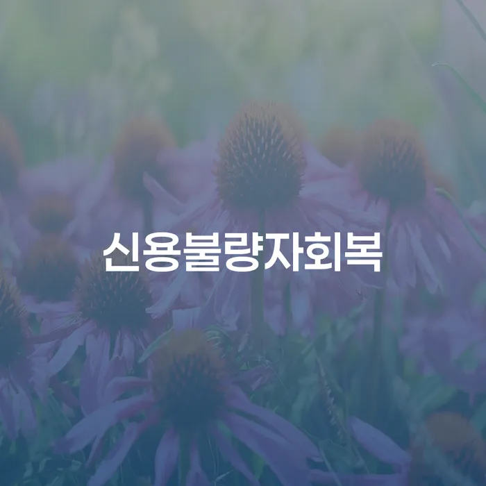 개인회생신청기간 개인회생,개인파산으로 잘신청하기