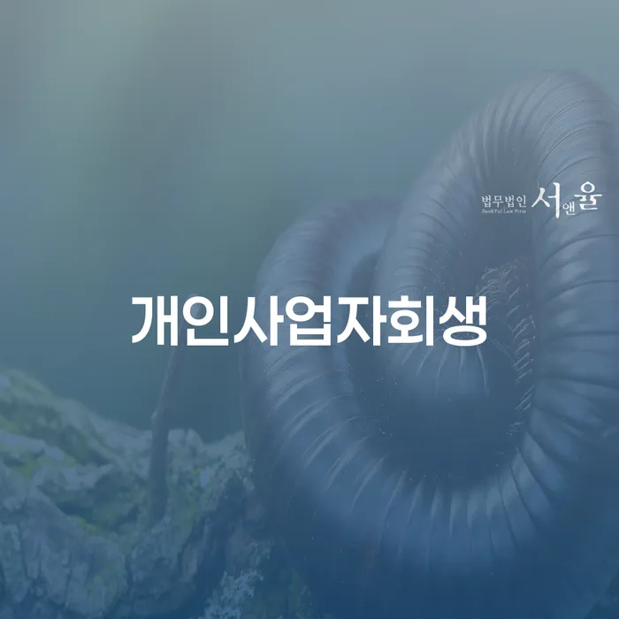 회생절차 개인파산 잘하는 법률사무소