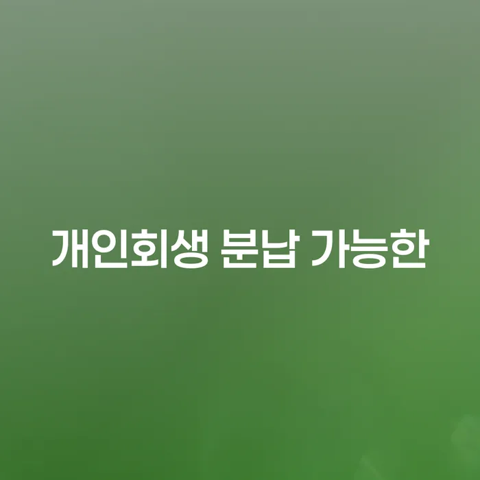 개인회생 개인회생으로 방법 희망으로