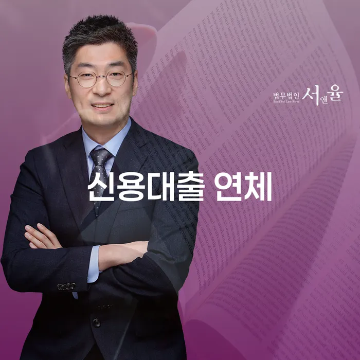 기대출추가대출 연체 시 개인회생,개인파산으로 확인 하고 진행