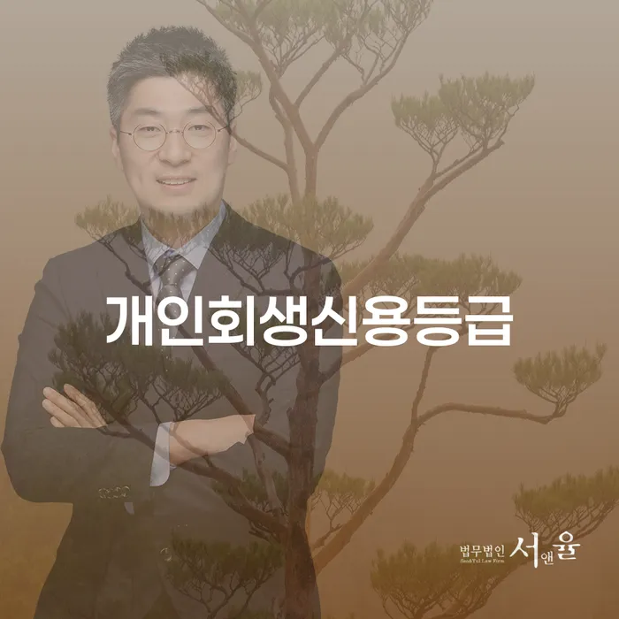 채무자회생법 신용회복 적정한