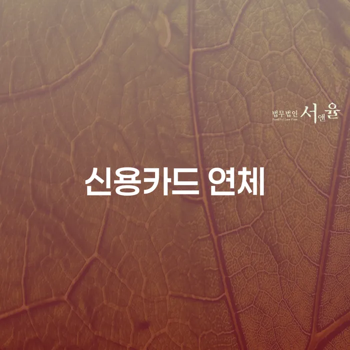 보령시 개인파산이란 개인회생 잘 하는 사무소