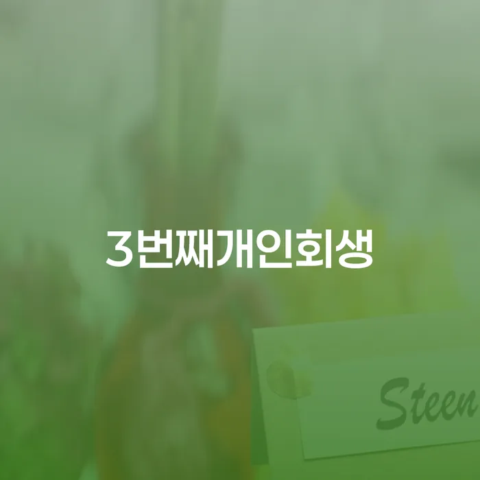 밀양시 개인회생절차 채무조정제도을 이용하여 중요 포인트