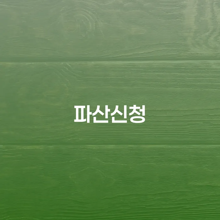 진도군 파산신청하면 개인파산 진행방안
