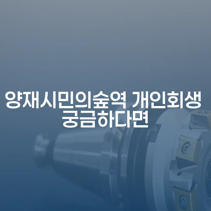 양재시민의숲역 개인회생 궁금하다면