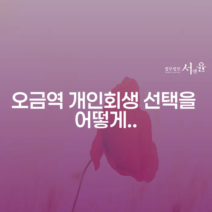 오금역 개인회생 선택을 어떻게..