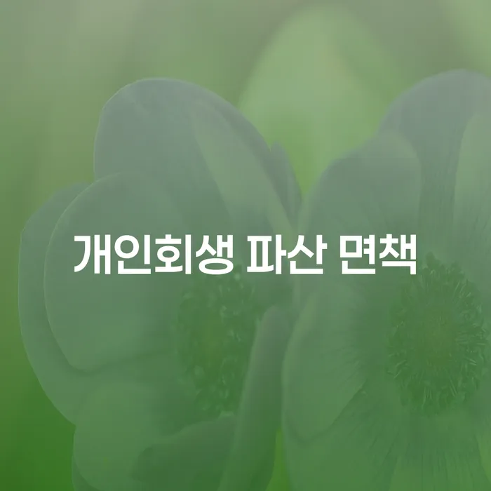 개인회생 파산 면책: 어떻게 채무에서 벗어날 수 있을까요?