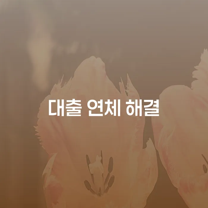 대출 연체, 어떻게 해결할 수 있을까요?