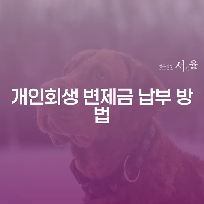 개인회생 변제금 납부 방법: 어떻게 시작해야 할까요?