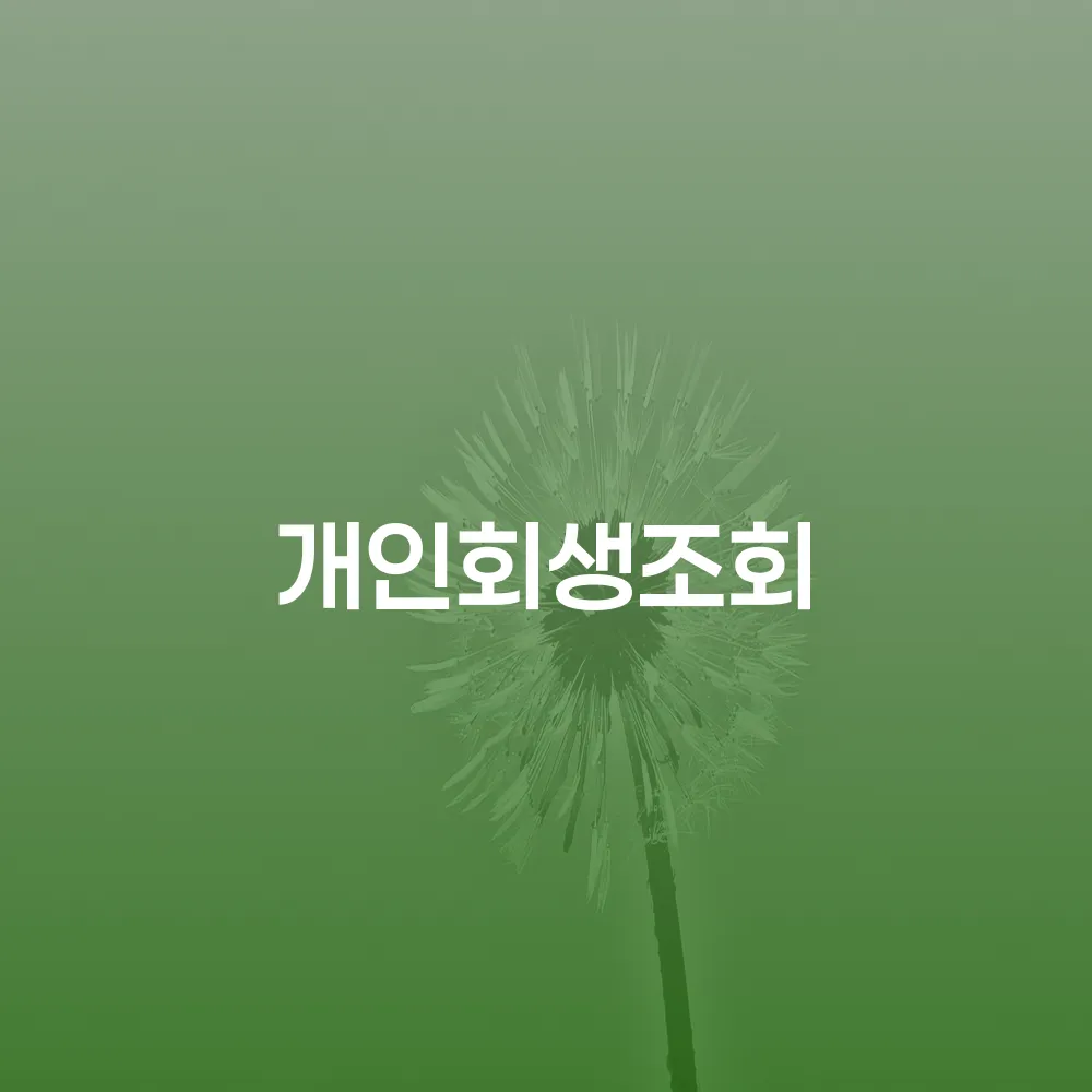 개인회생조회와 그 중요성