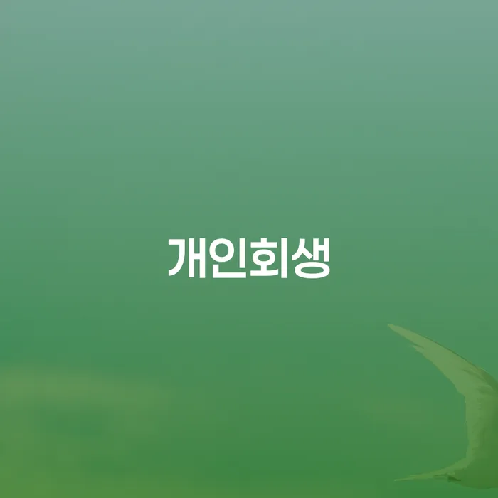 난곡동 개인회생으로 채무 해결하기