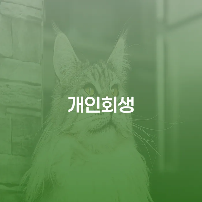 성내1동 개인회생의 모든 것