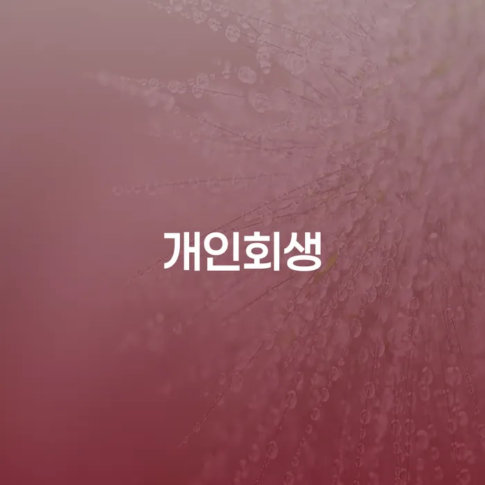 의정부개인회생 절차와 사례를 통해 경제적 어려움 극복하기