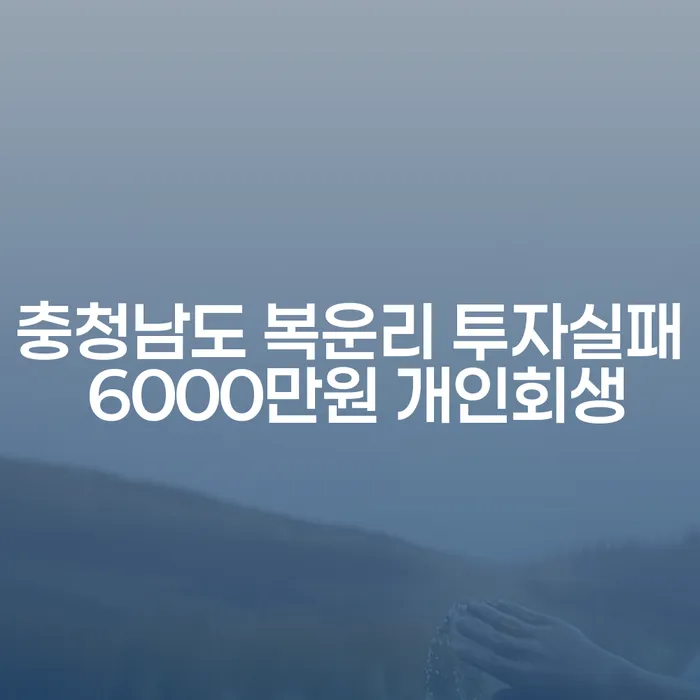 충청남도 복운리 투자실패 후 6000만원 개인회생: 다시 시작할 수 있는 방법은?